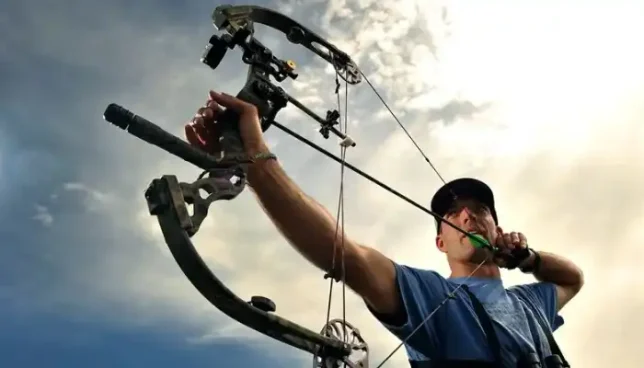 Archery: From Beginner to Champion - Your Ultimate Guide