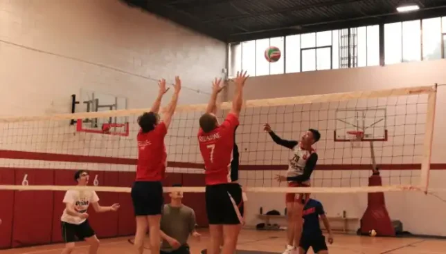 Volleyball: From Beginner to Champion - Your Ultimate Guide